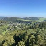 OM101534-4667-Vor-den-Eichen,-Willingen-180044741