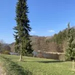 OM101535-4690-Vor-den-Eichen,-Willingen-180046273