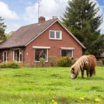 OM101598-17599-Oude-Ootmarsumsestraat-27,-Oldenzaal-249961896
