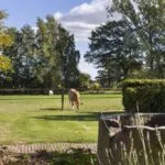 OM101753-9884-Spolmanweg-4,-Oud-ootmarsum-229706360