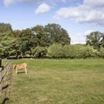 OM101753-9884-Spolmanweg-4,-Oud-ootmarsum-229706362