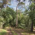 OM101758-11049-Delmaweg-18,-Geesteren-239863246