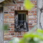 OM101758-11049-Delmaweg-18,-Geesteren-239863926