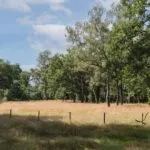 OM101758-11049-Delmaweg-18,-Geesteren-239863942