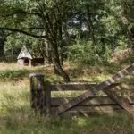 OM101758-11049-Delmaweg-18,-Geesteren-239863952