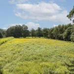 OM101777-11309-Oude-Uelserdijk-6,-Mander-241142028