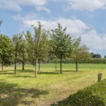 OM101777-11309-Oude-Uelserdijk-6,-Mander-241142070