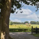 OM101777-11309-Oude-Uelserdijk-6,-Mander-241142214