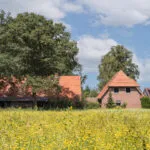 OM101777-11309-Oude-Uelserdijk-6,-Mander-241142222