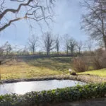 OM101805-12883-Stobbenkamp-29,-Ootmarsum-261790110