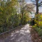 OM101829-12175-Dauwnetel-40,-Oldenzaal-253079944