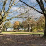 OM101829-12175-Dauwnetel-40,-Oldenzaal-253079956