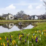 OM101860-12755-Villapark-26,-Ootmarsum-260455170