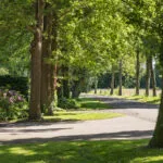 OM101882-17443-Everlostraat-13,-Rossum-280416613