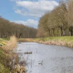 OM101900-13336-Nordhornsestraat-139,-Denekamp-270480676