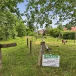 OM101920-17271-Reutummerweg-65ZH26,-Reutum-279734110