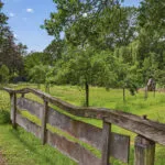 OM101920-17271-Reutummerweg-65ZH26,-Reutum-279734116