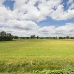 OM101945-17491-Karmelhof-7,-Zenderen-284272825