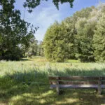 OM101958-18285-Appellaantje-3,-Ootmarsum-290605577
