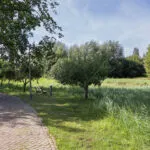 OM101958-18285-Appellaantje-3,-Ootmarsum-290605585